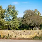 The Lamar Lookout