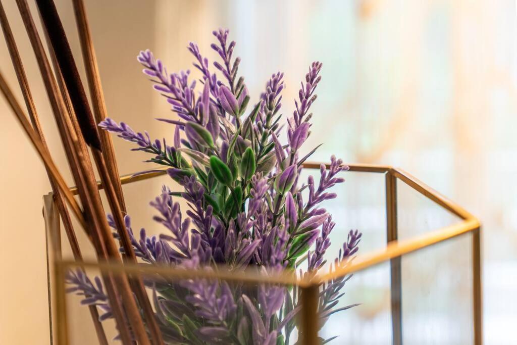 The Joplin House - - Zilker Park Apartment *