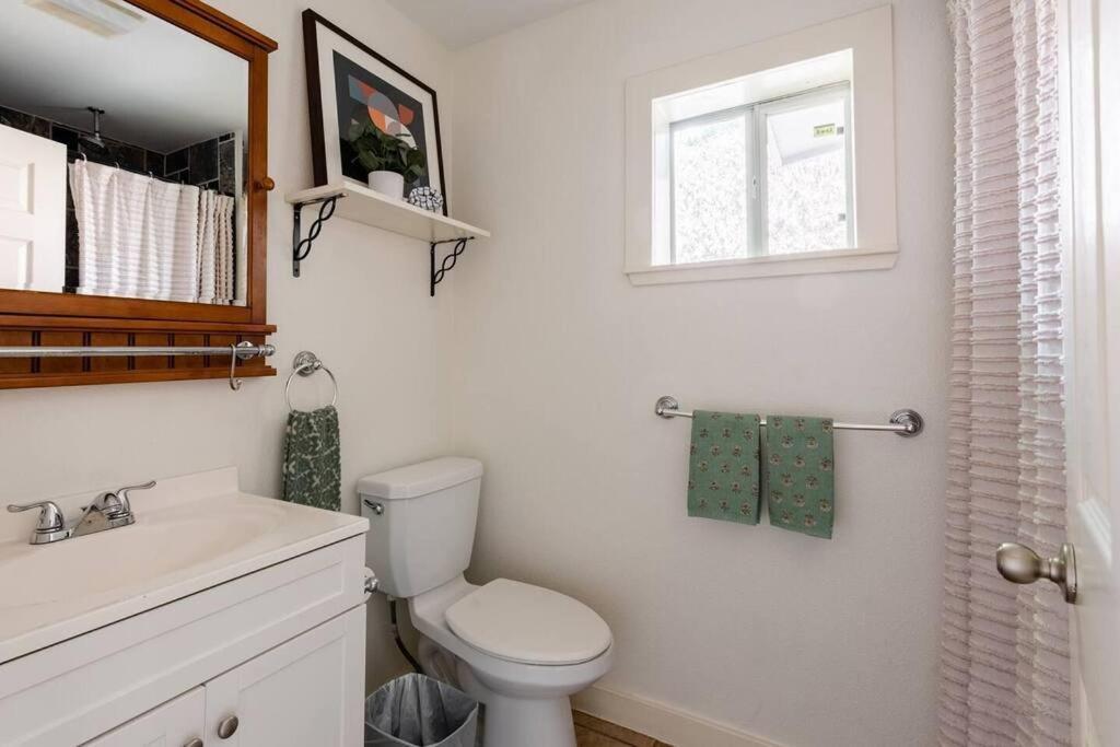 Bachelorette/bachelor Getaway! 6br House W/ Pool Holiday home Austin