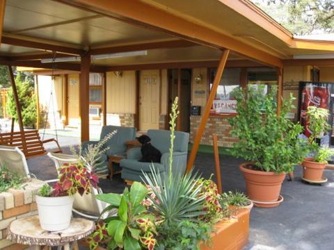 Walnut Forest Hotel 3*