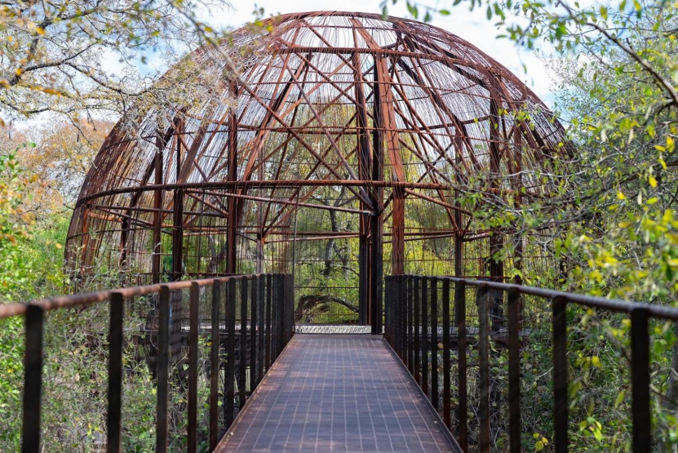 The Lamar Lookout * Austin