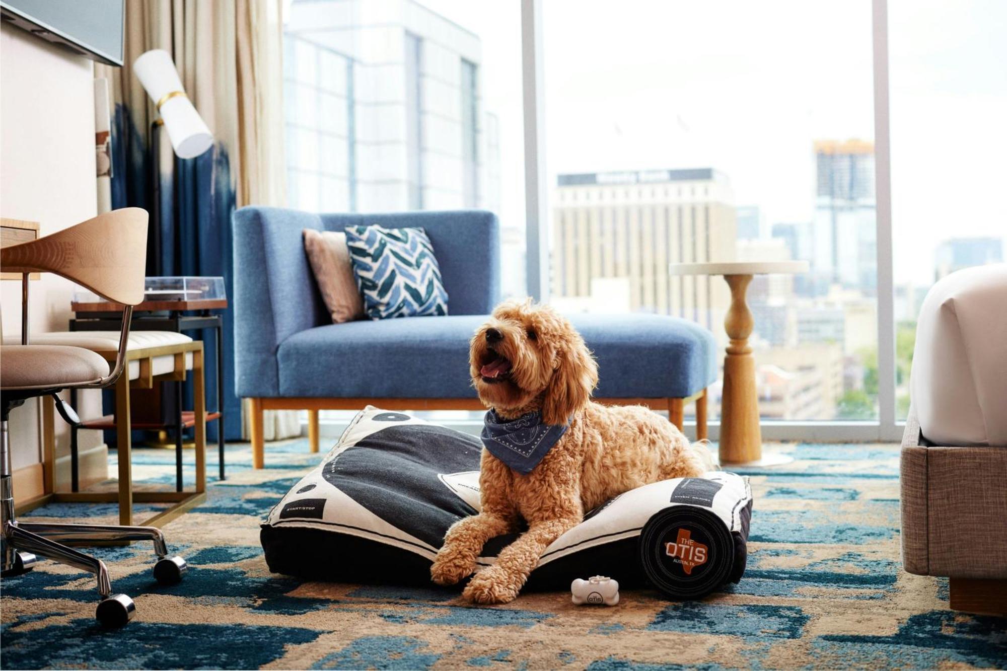 Hotel The Otis Austin, Autograph Collection