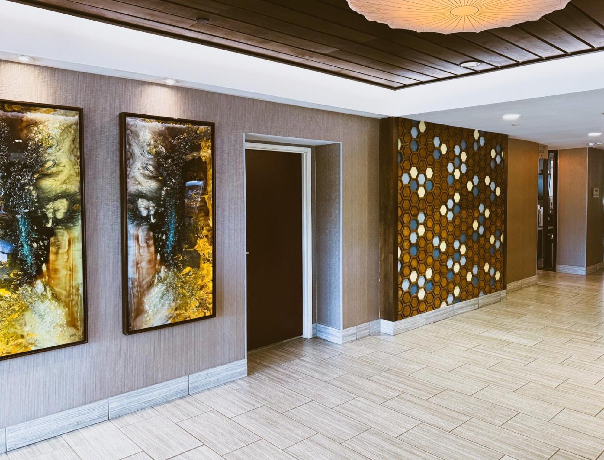 Hotel Springhill By Marriott The Domain Area