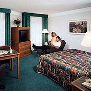 Super 8 By Wyndham South I-35 Hotel
