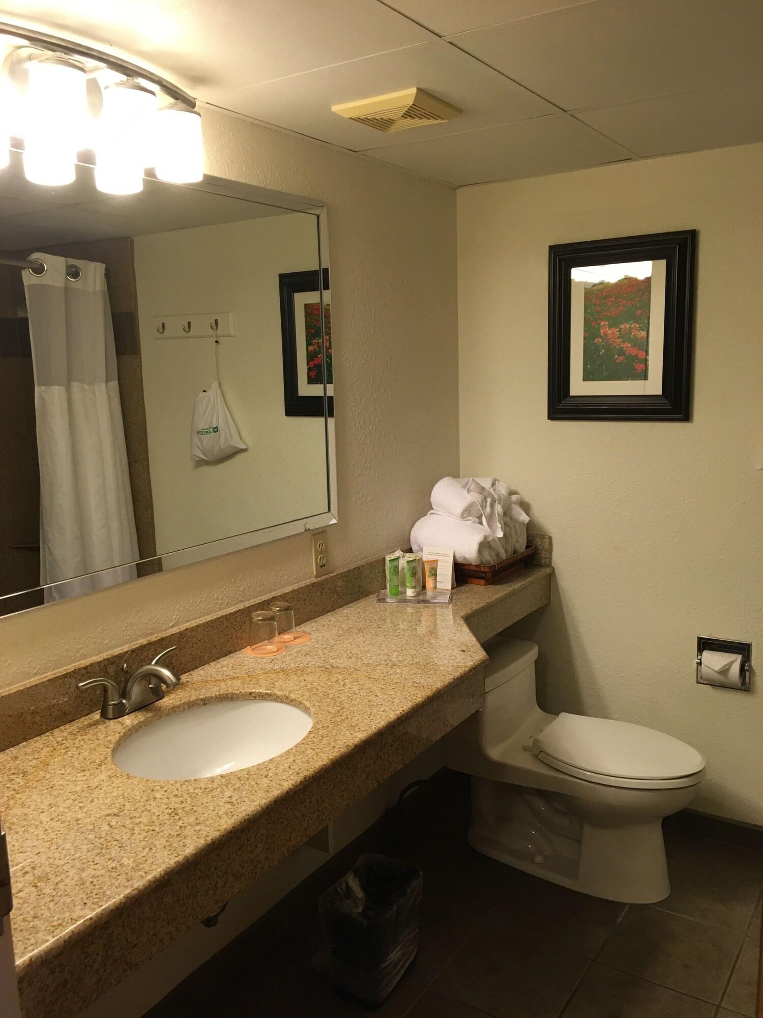 Wyndham Garden Austin